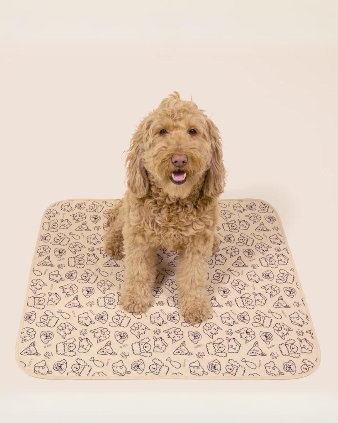 Tapis d'urine réutilisable et imperméable pour chien et chat (4 Tapis d'urine réutilisable et imperméable pour chien et chat (4
