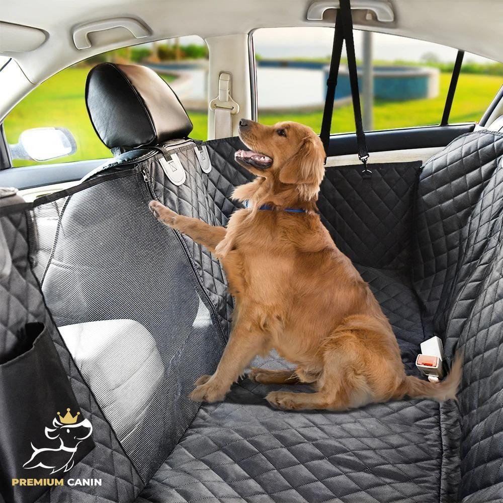 Protégez votre voiture des poils d'animaux avec ce super produit Le bon  chien