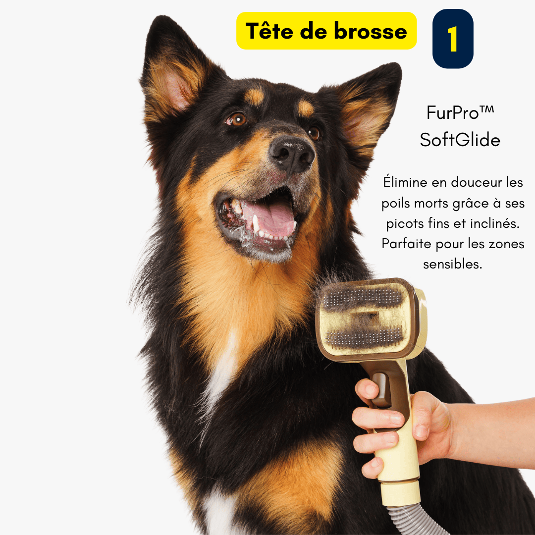 FurPro - Brosse Anti-Poils Pour Aspirateur