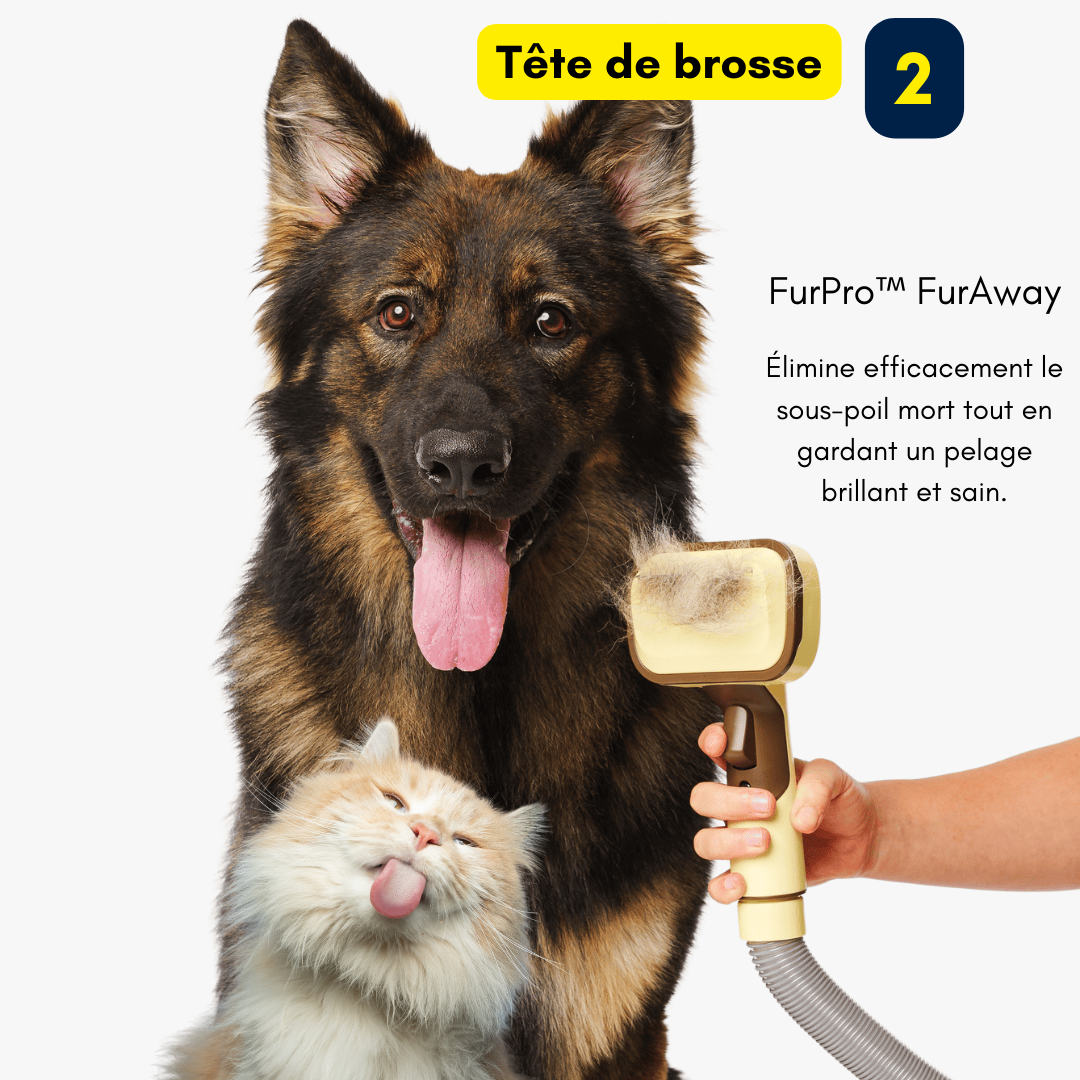 FurPro - Brosse Anti-Poils Pour Aspirateur