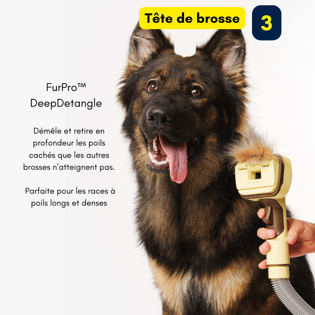 FurPro - Brosse Anti-Poils Pour Aspirateur