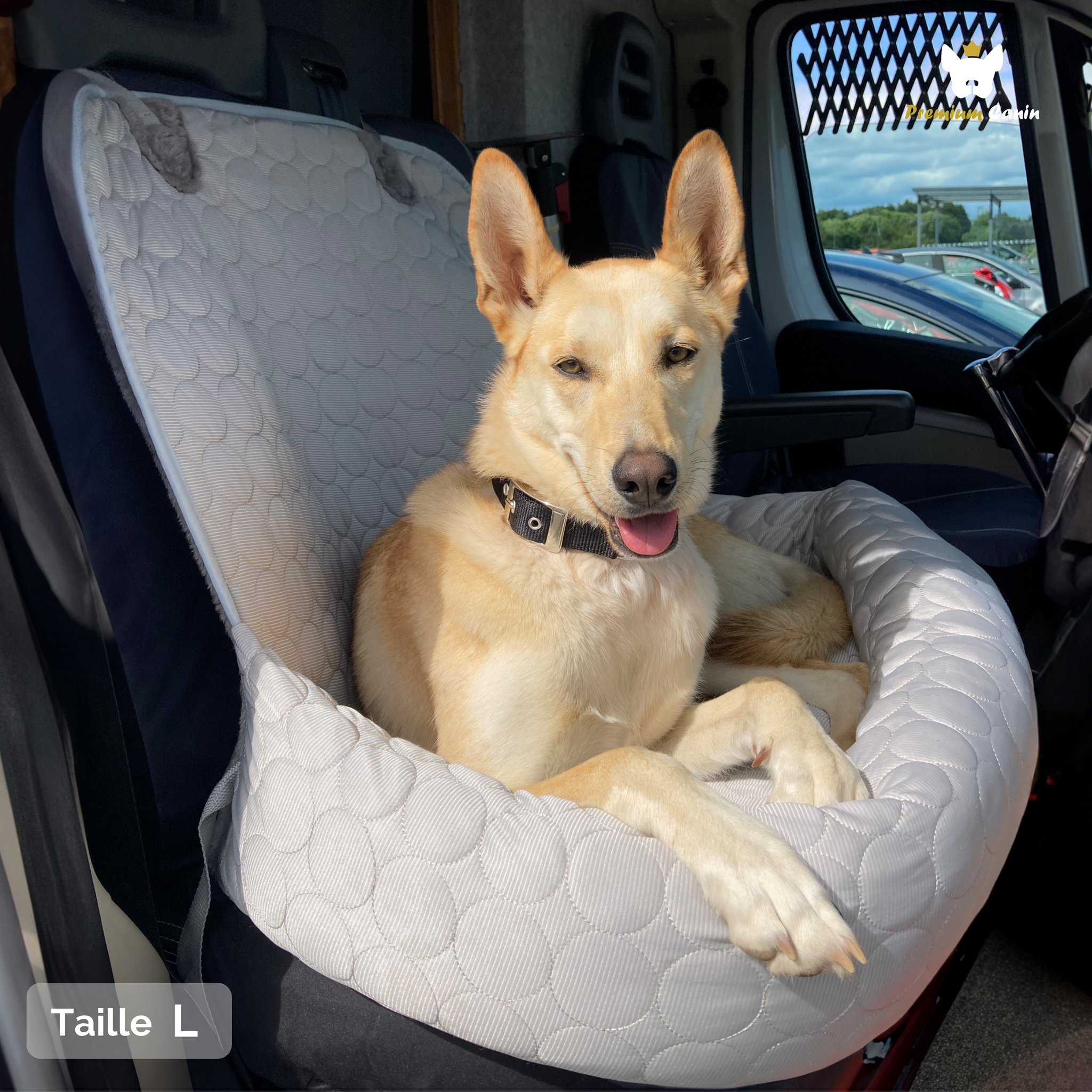 PawCool™ - Coussin 2 en 1 Protecteur-auto rafraîchissant – Premium Canin