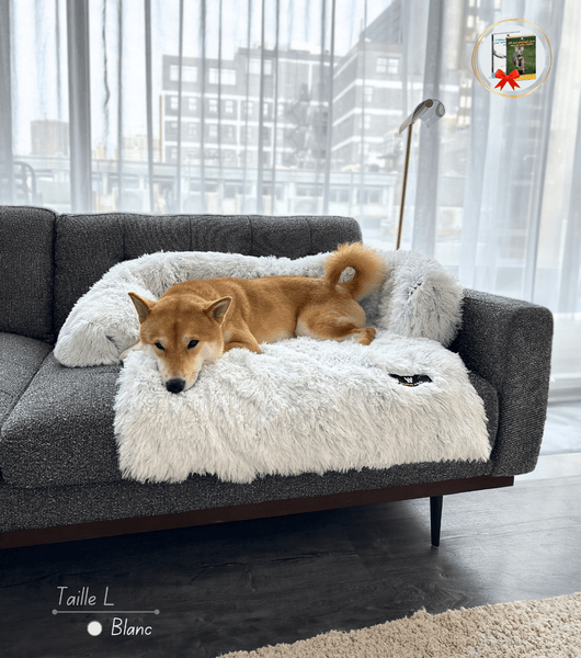 Couverture de canapé en forme de chien de Berg vert – Imperméable
